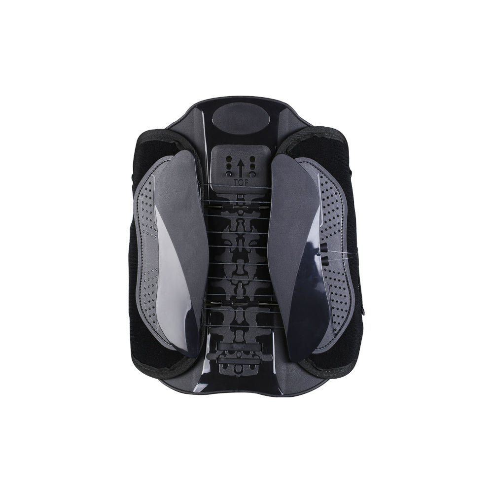 FreeMove Back Support Belt