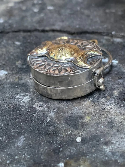 Celestial Roots Silver Locket