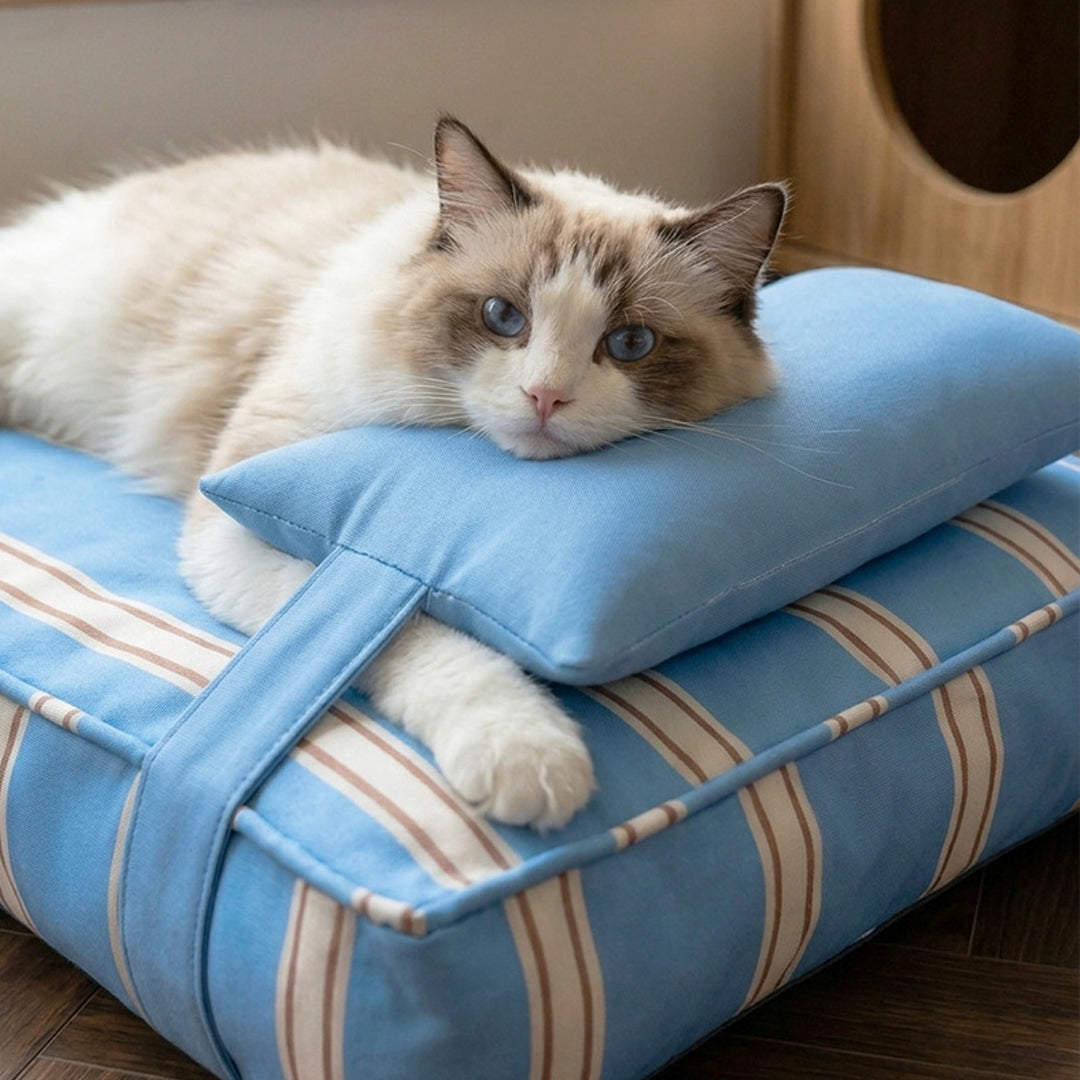Personalized Pet Bed with Pillow