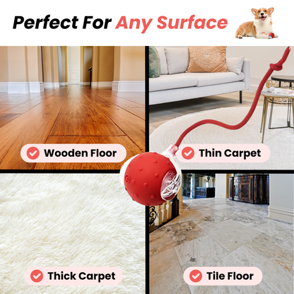 TinyFetch Automatic Fetch Toy