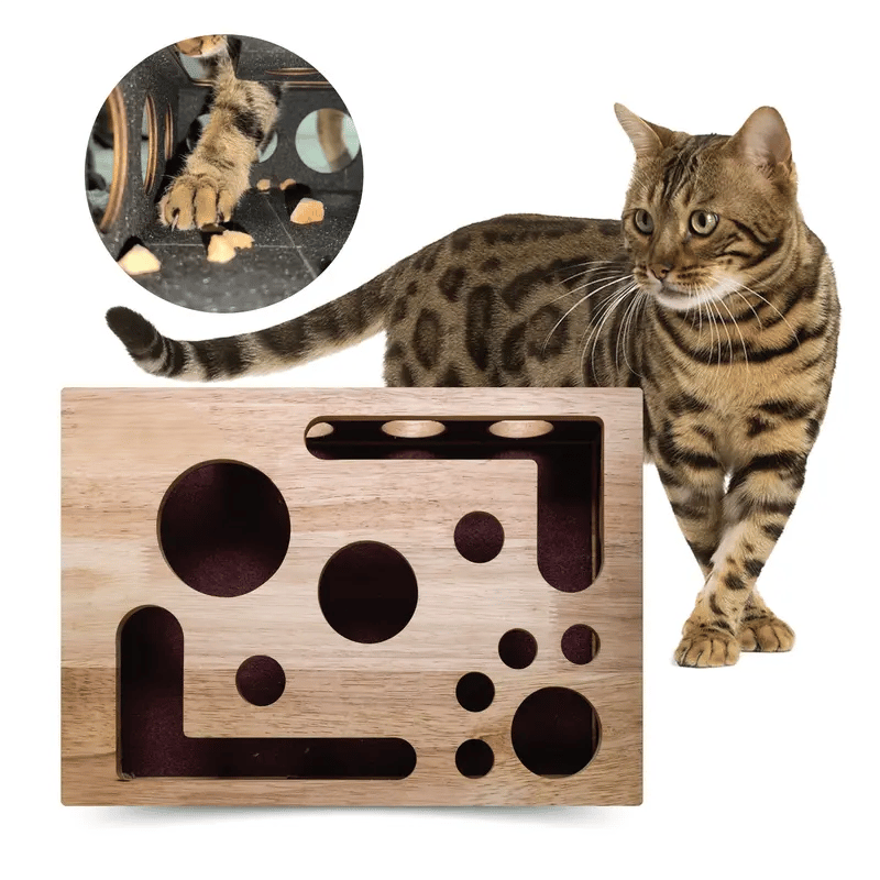 PurrFile Nail Care Puzzle Box