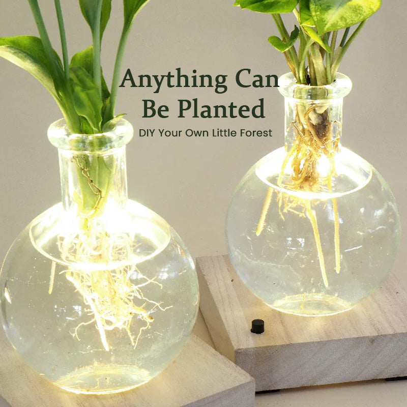 GlowRoot