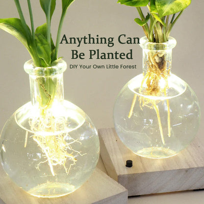 GlowRoot