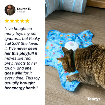 Peeky Tail 2.0 Cat Toy