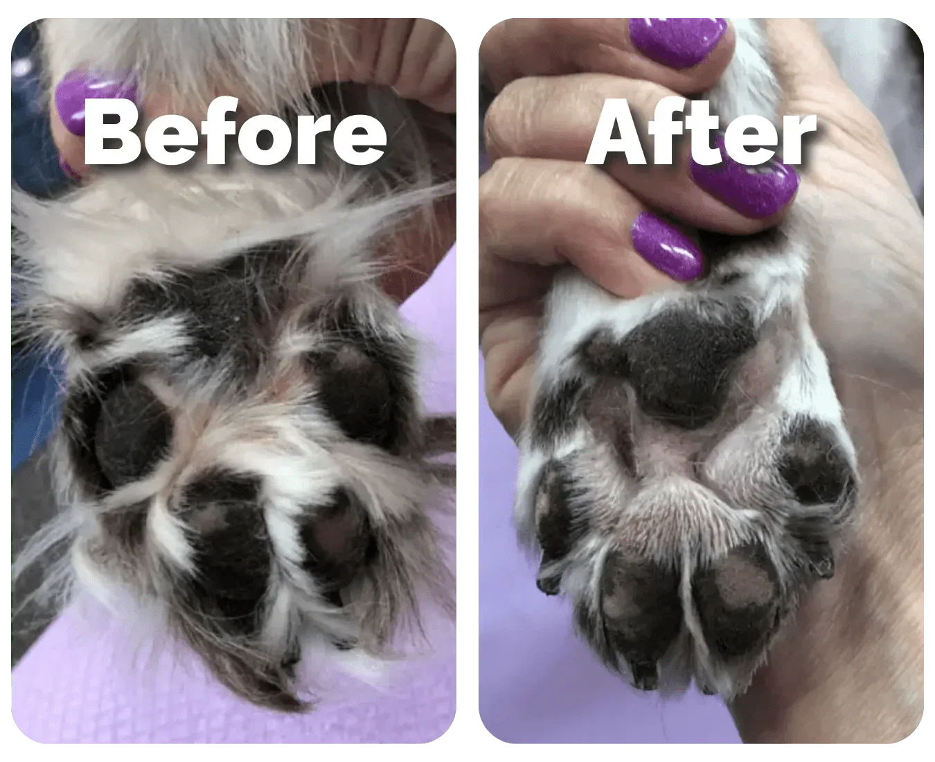 FurEase - Pet Hair Trimmer