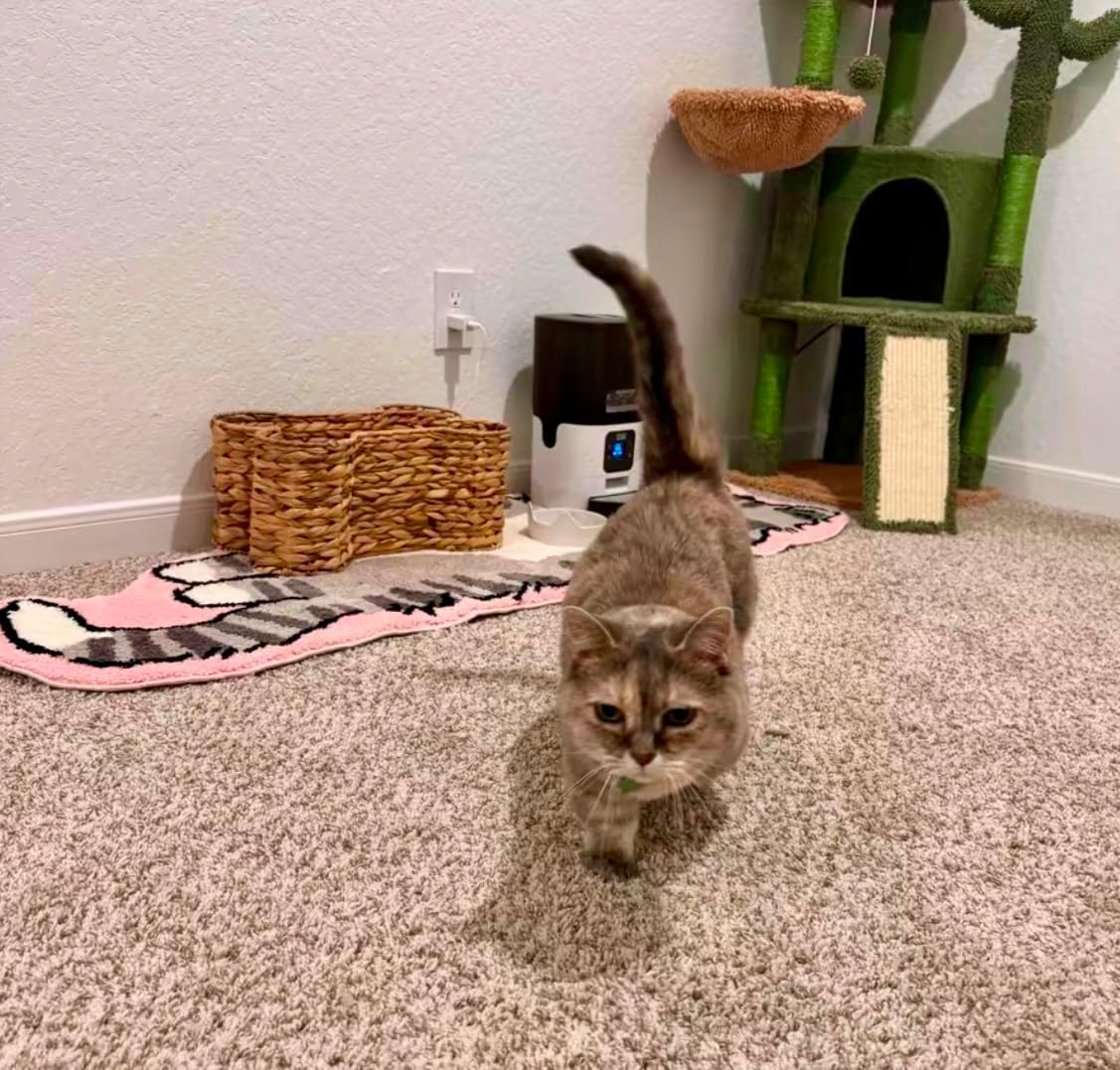 Pink Gray Cat Rug