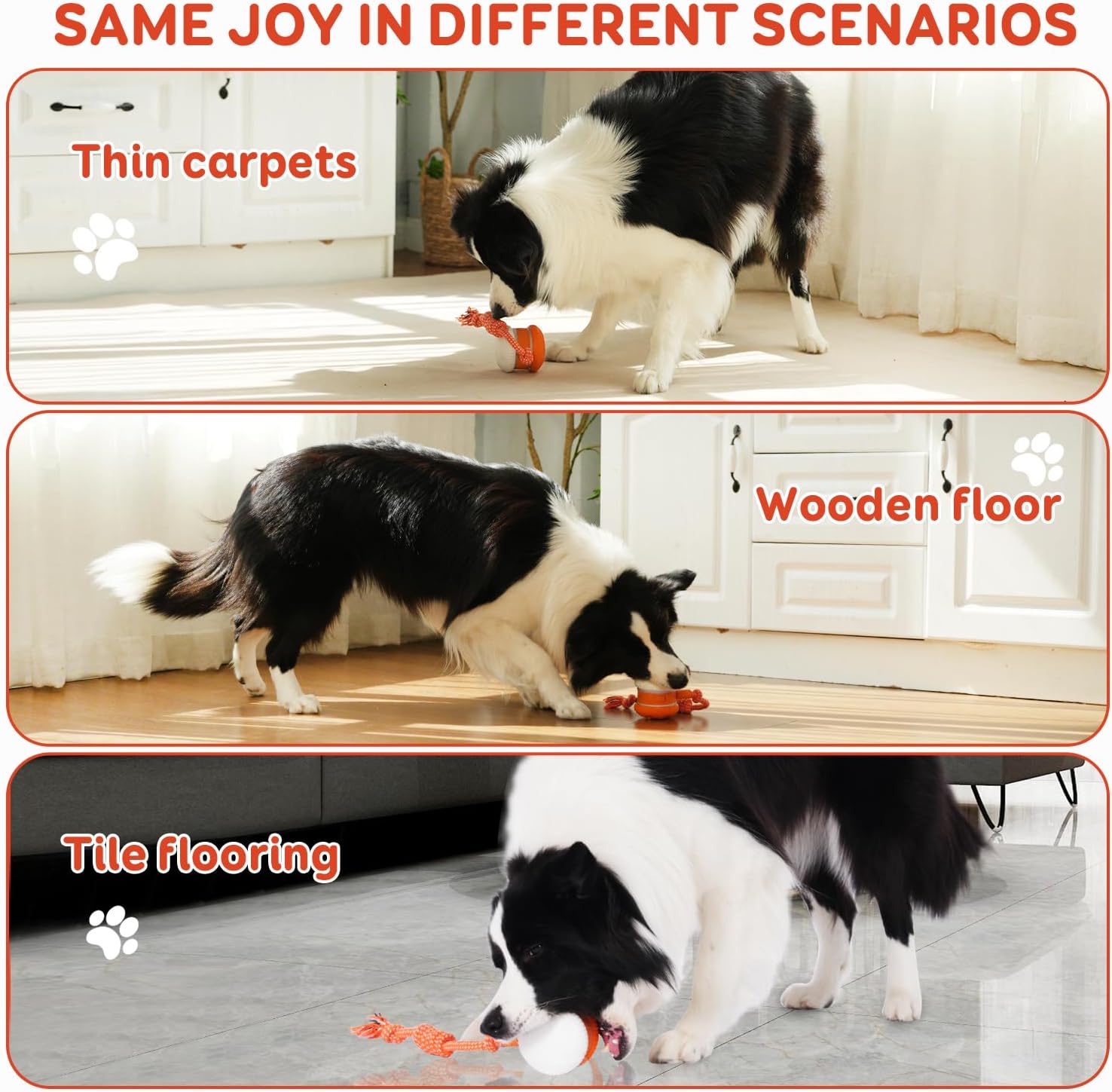 PupChase Smart Ball