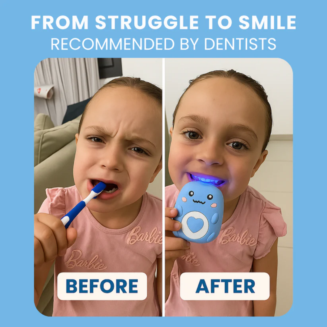 BrushBuddy