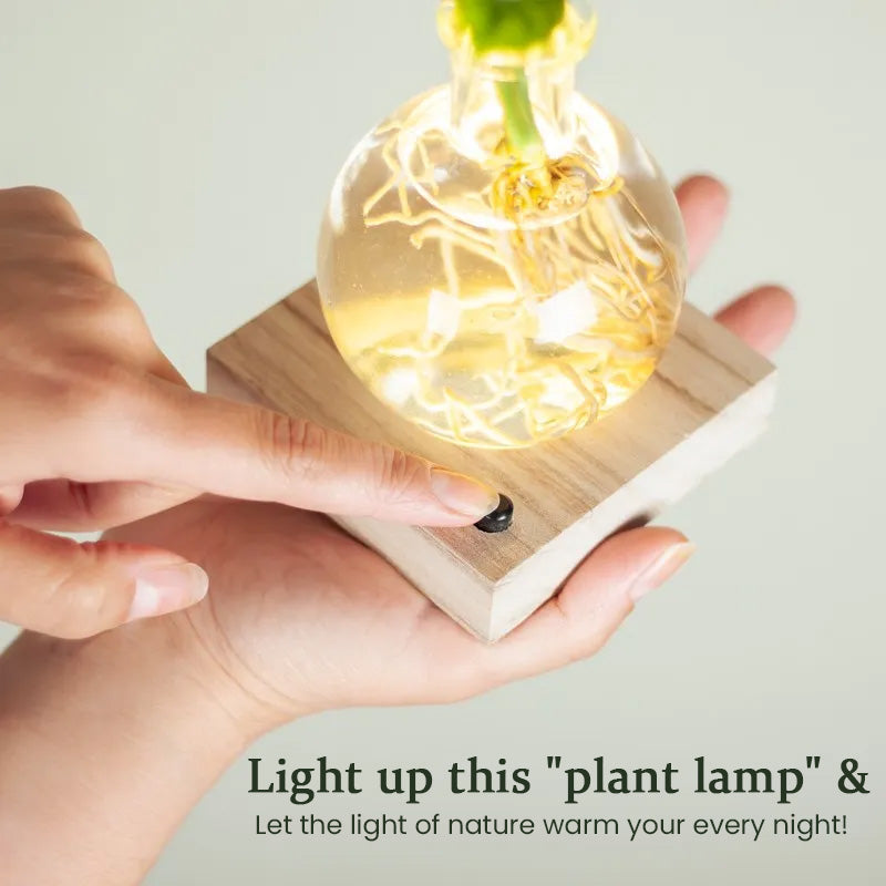 GlowRoot