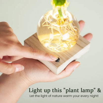 GlowRoot