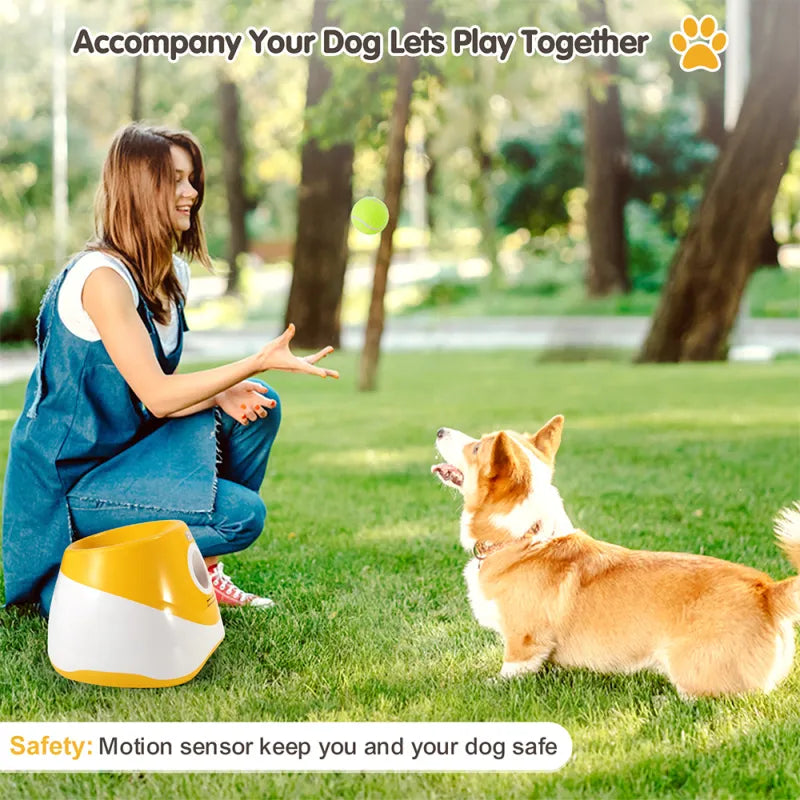 Automatic Dog Ball Launcher