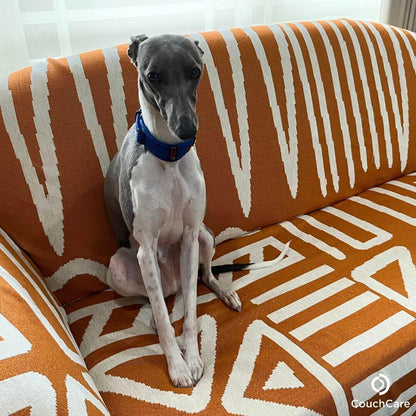 Furniture Protector Covers