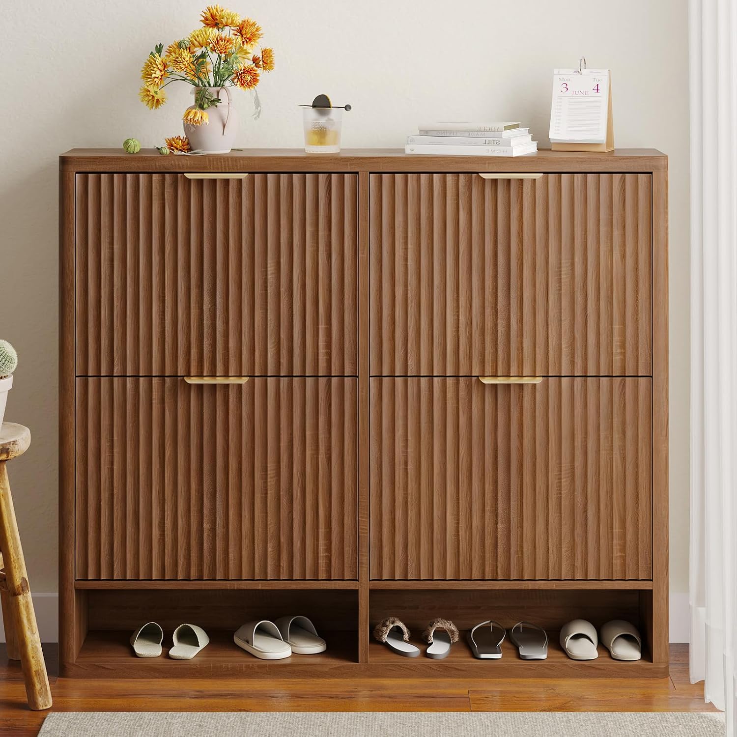 StepShoe Flip Cabinet