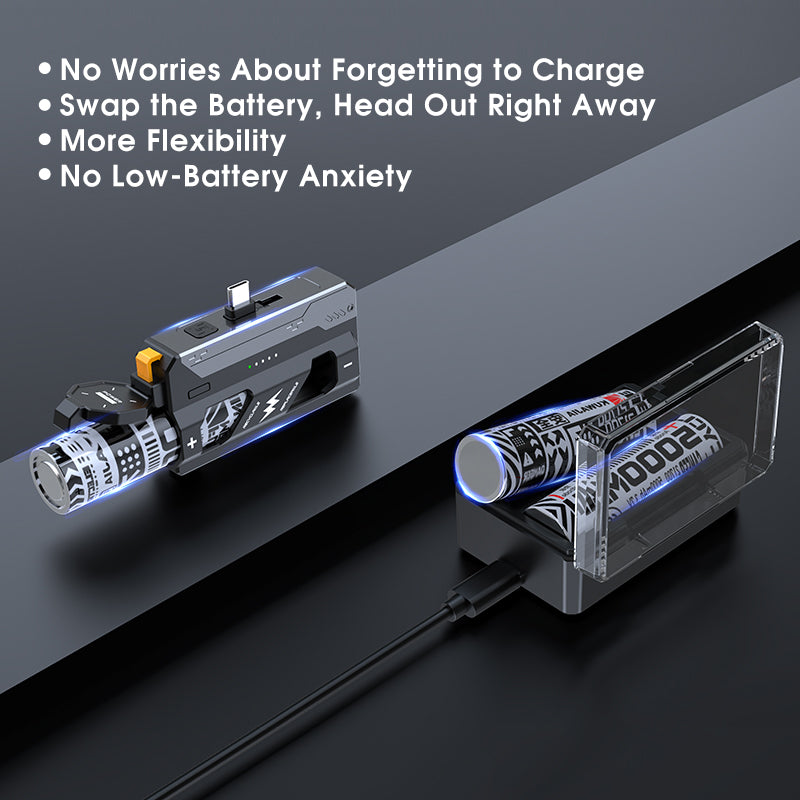 SwapCharge Pro 15000 mAh