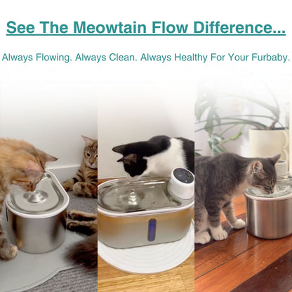 Meowtain Flow Filtered Water Bowl
