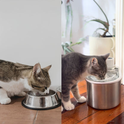 Meowtain Flow Water Bowl
