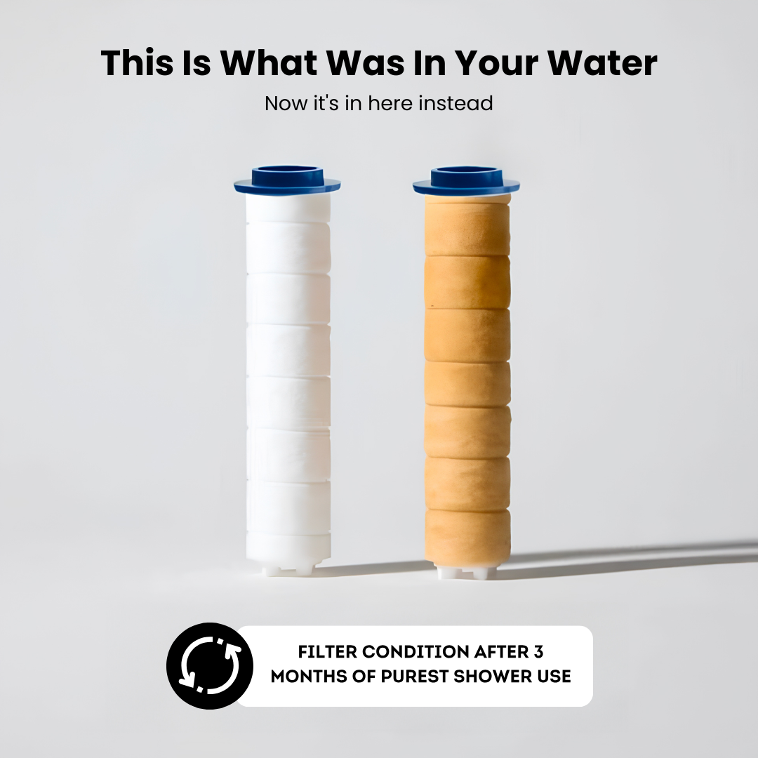 Filtered Showerhead