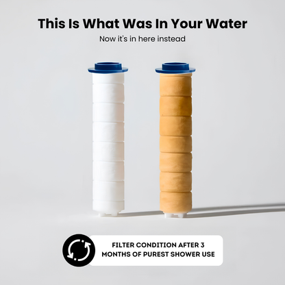 Filtered Showerhead
