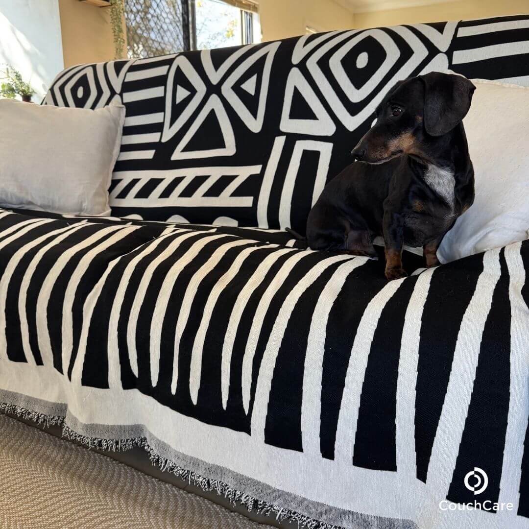 Furniture Protector Covers