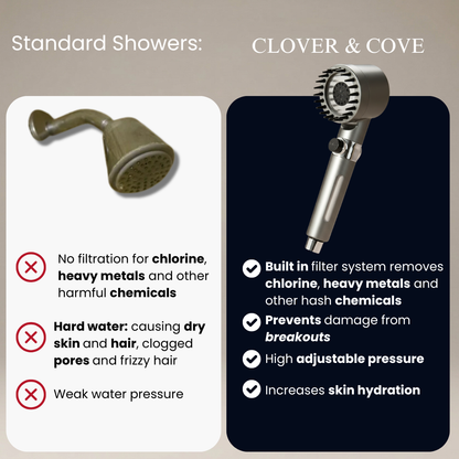 Filtered Showerhead