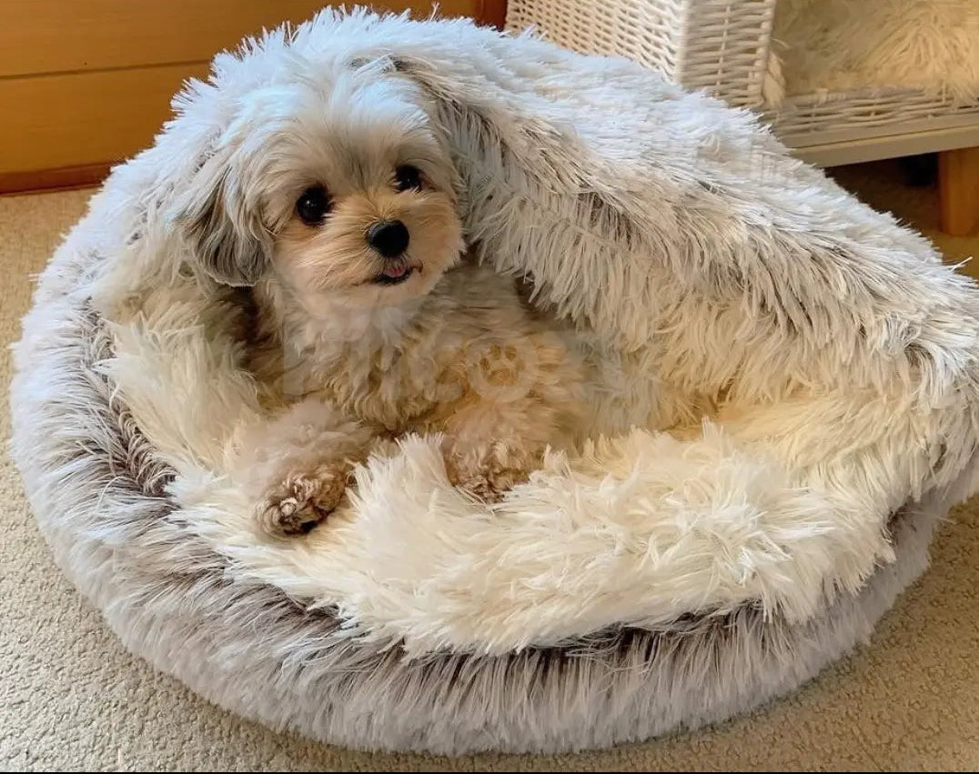 CalmCave Therapeutic Dog Bed