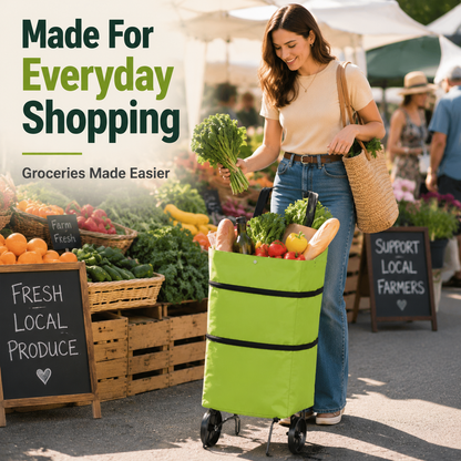 Foldable Shopping Trolley Bag
