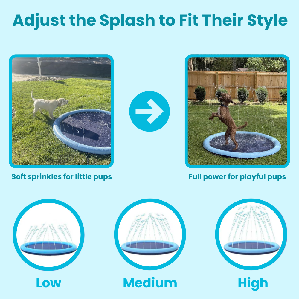 Pup Splash Pad