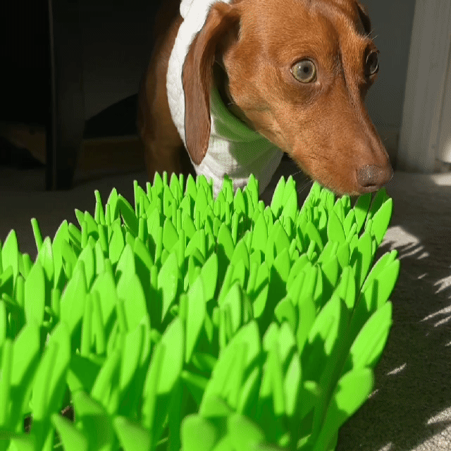 Silicone Slow Feeder Mat