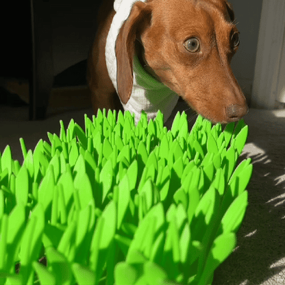 Silicone Slow Feeder Mat