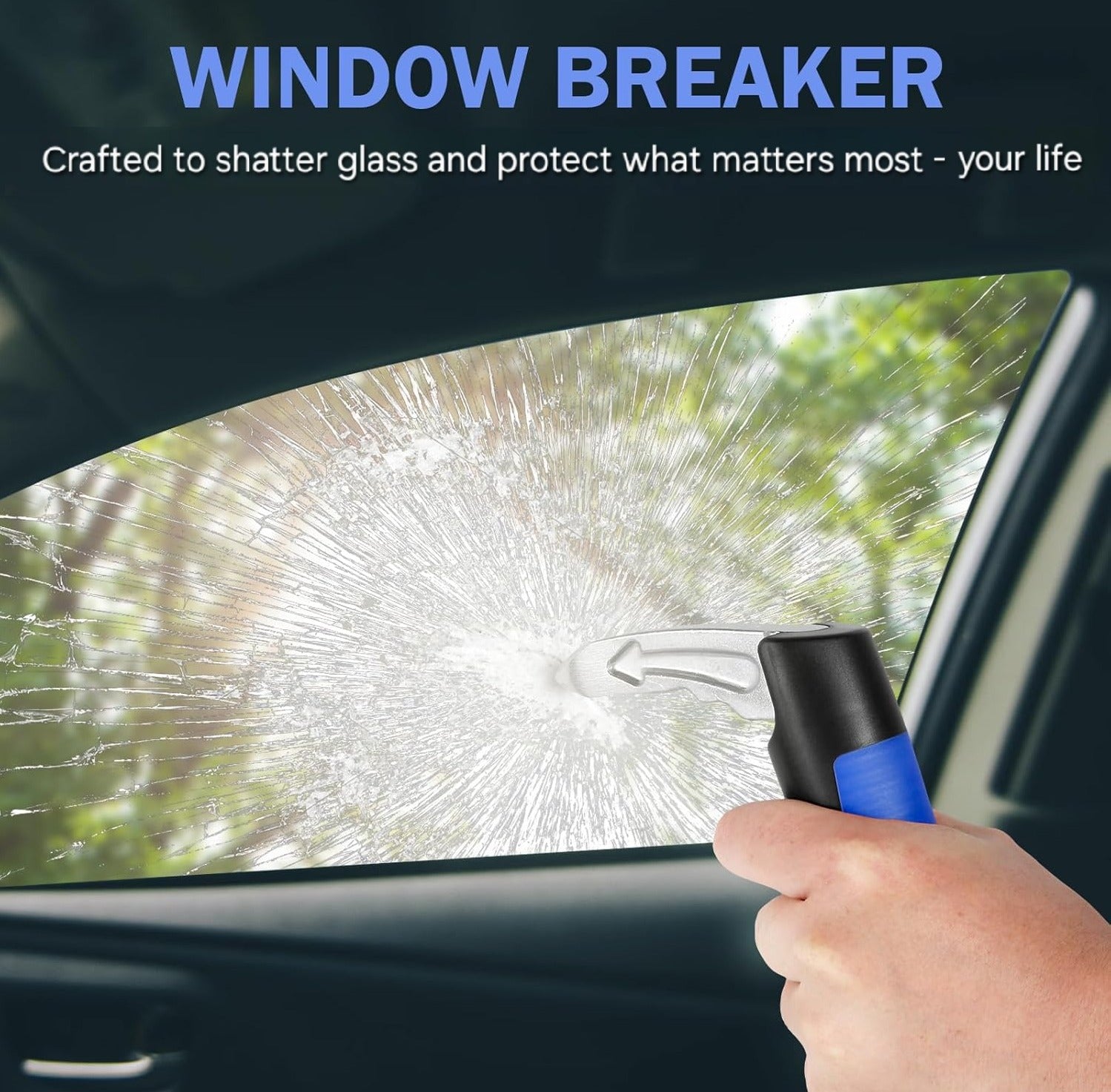 Handly Car Assist Handle (2 for 1!)