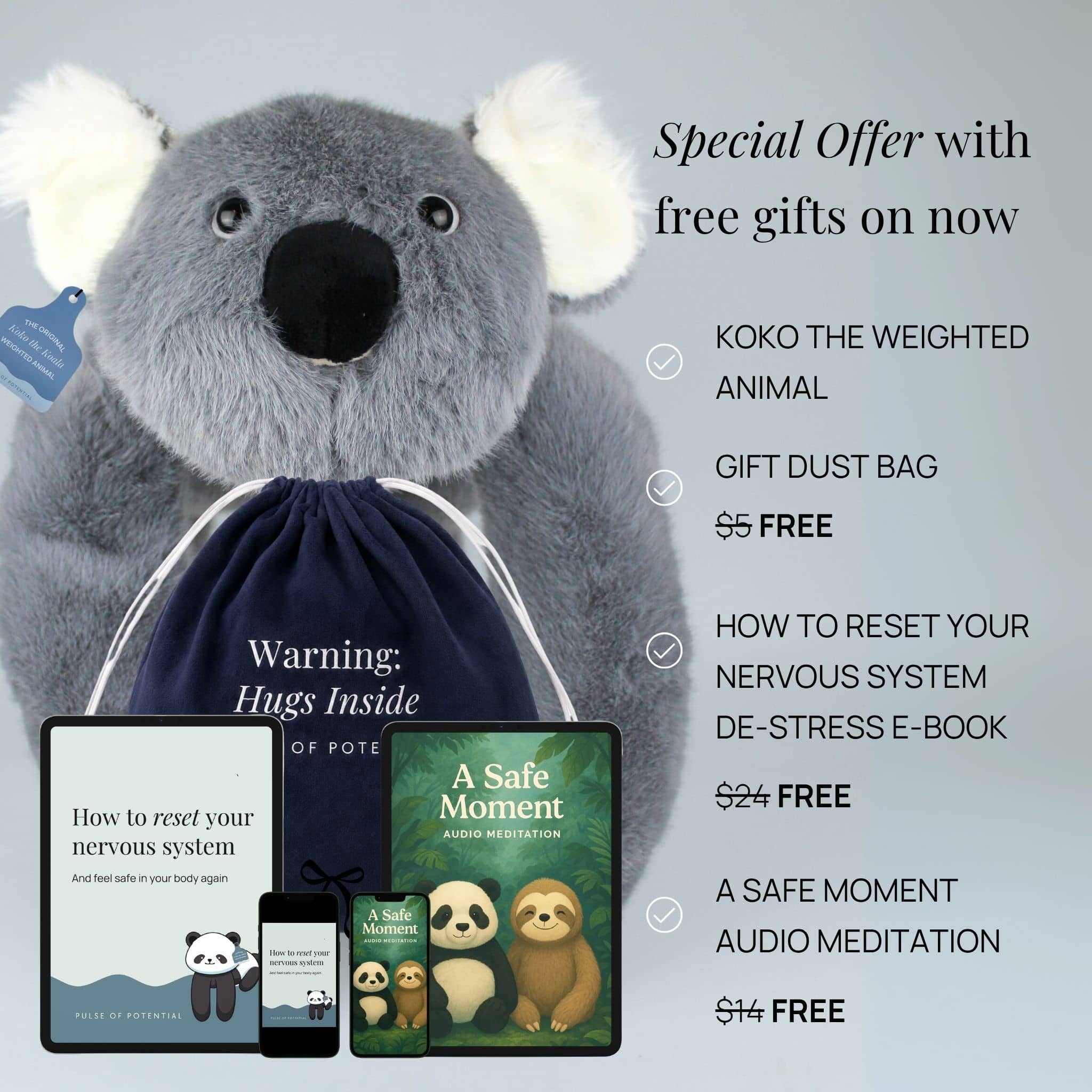 Koko the Koala Weighted Animal