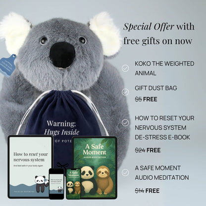 Koko the Koala Weighted Animal