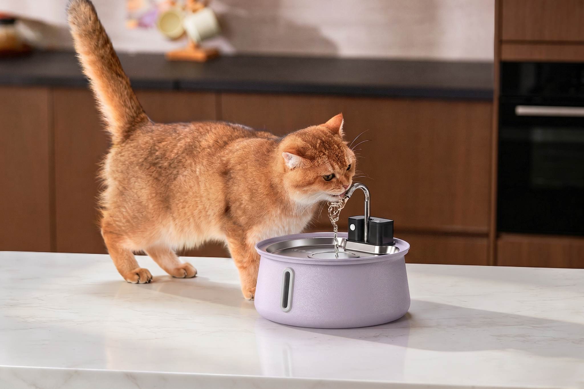 Wireless Fountain 2.0