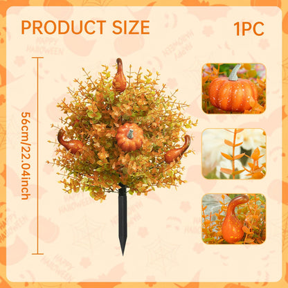 Halloween-themed eucalyptus pumpkin planting