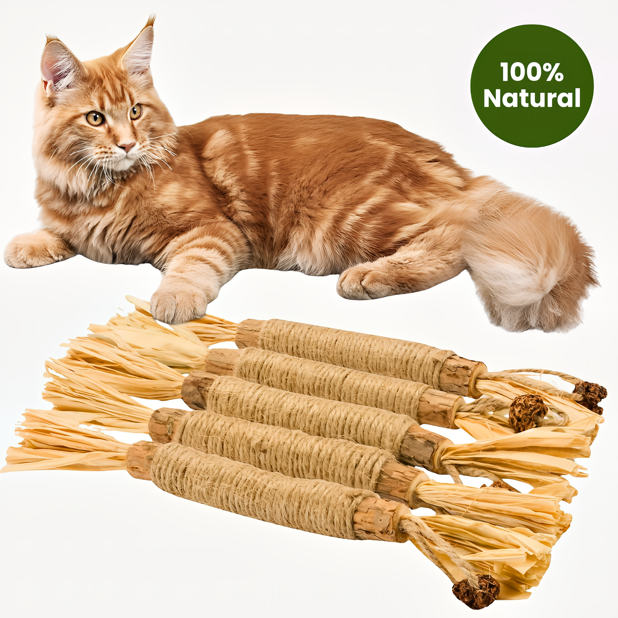 HappyChews Silvervine Dental Sticks