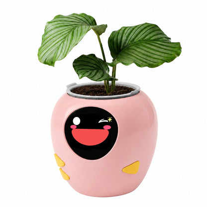 GrowBud Smart Planter