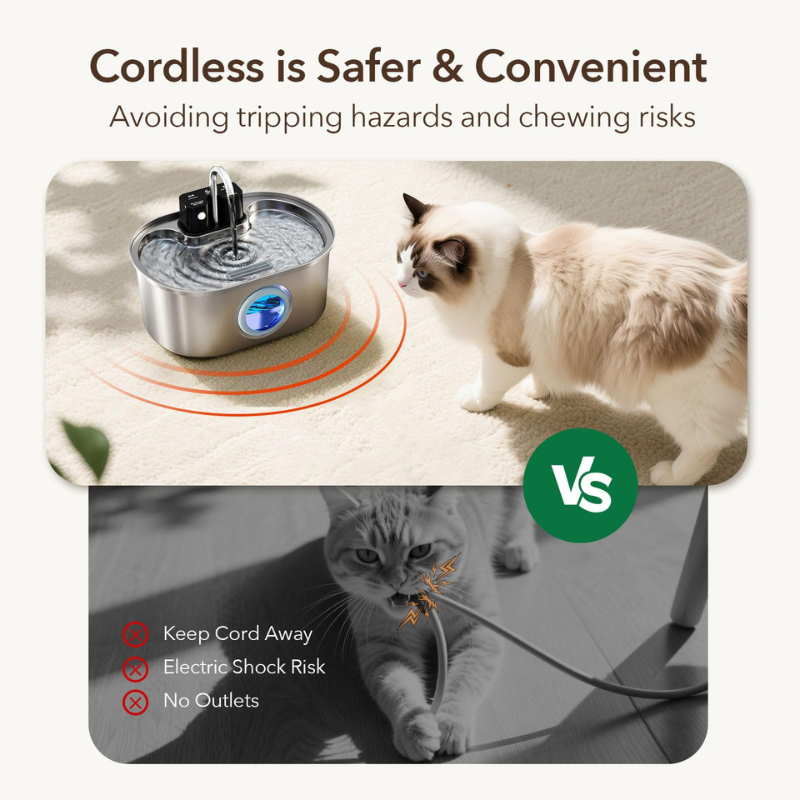 FreshFlow Wireless Pet Fountain