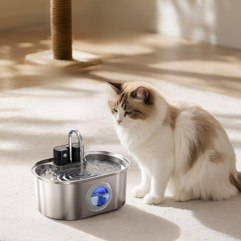 FreshFlow Wireless Pet Fountain