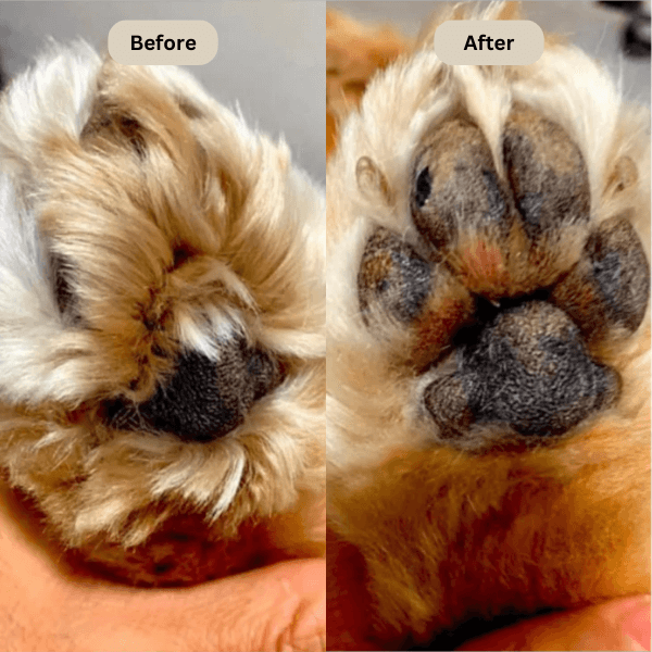 Pet Paw Fur Trimmer