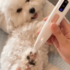 Pet Paw Fur Trimmer