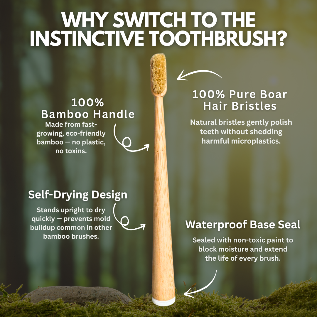 BristleRoot Toothbrush Set