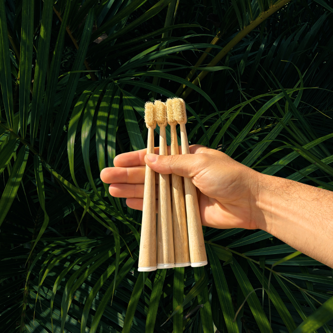 BristleRoot Toothbrush Set