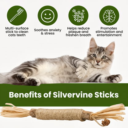 HappyChews Silvervine Dental Sticks