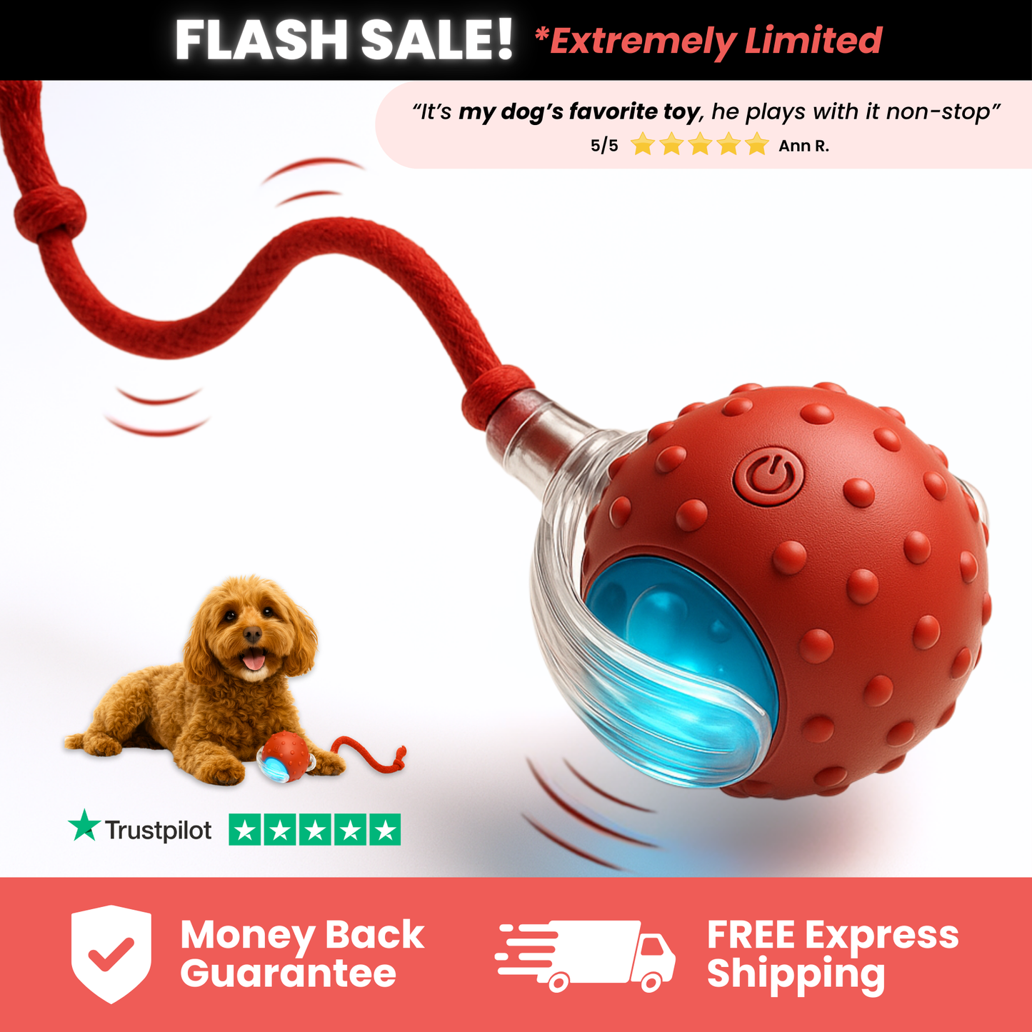 TinyFetch Automatic Fetch Toy