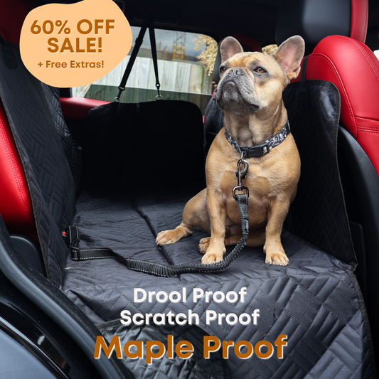Pet Seat Cover Protector