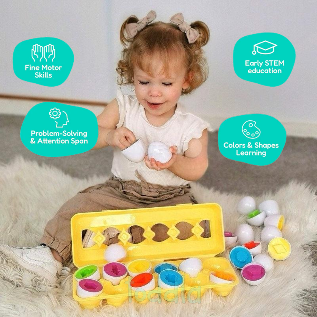 ShapeSmart Eggs