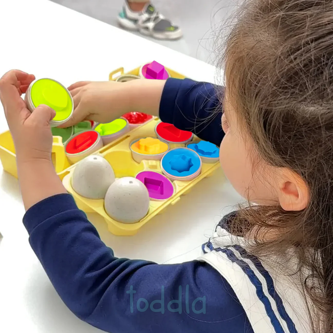 ShapeSmart Eggs