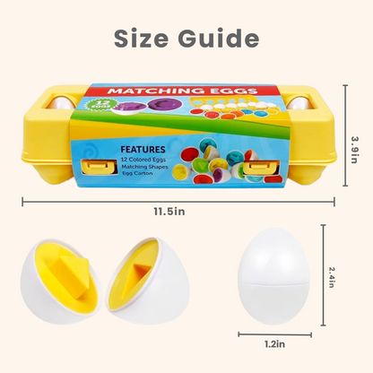 ShapeSmart Eggs