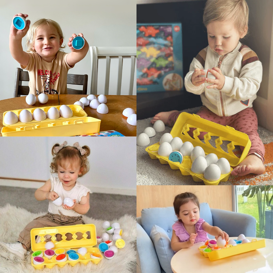 ShapeSmart Eggs