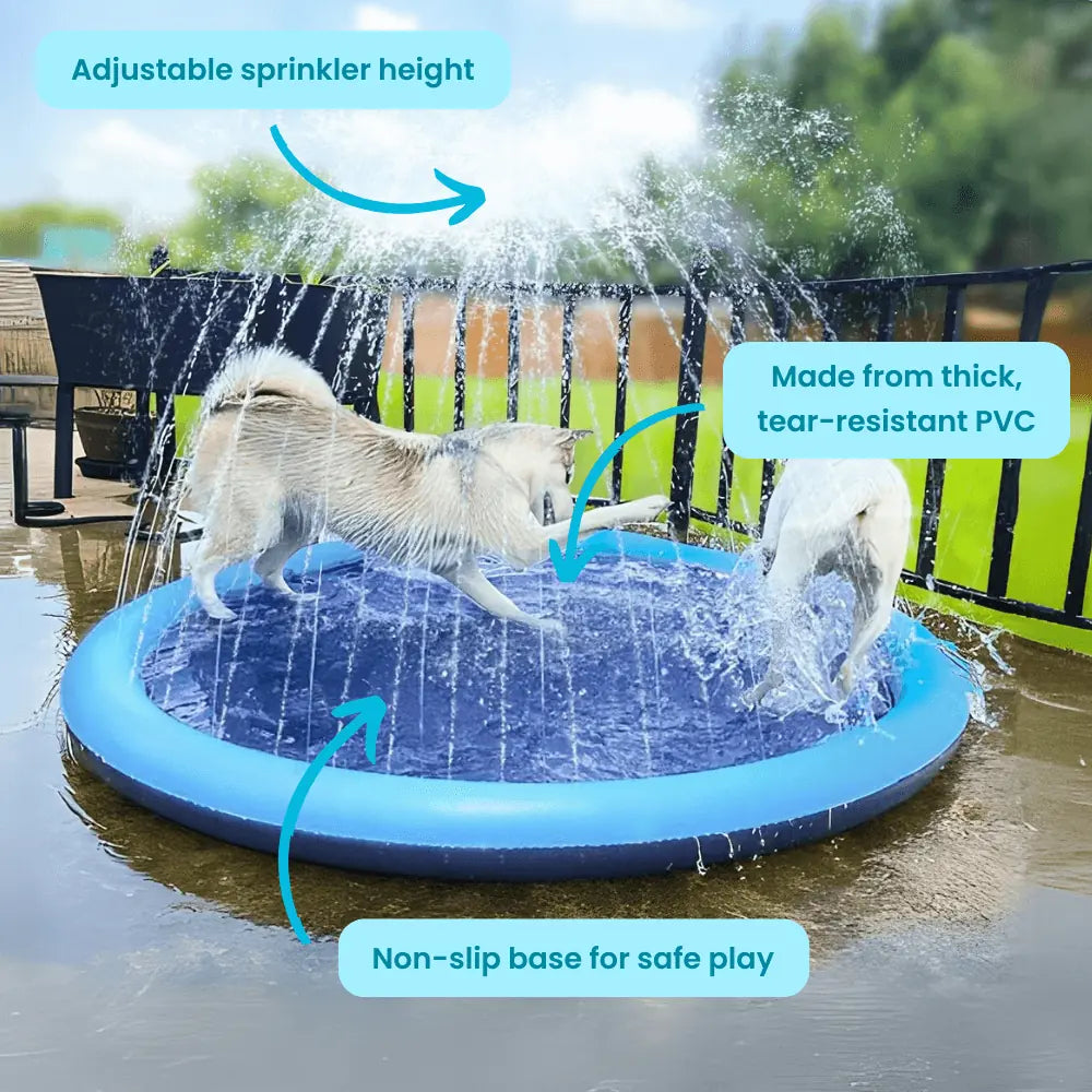 Pup Splash Pad